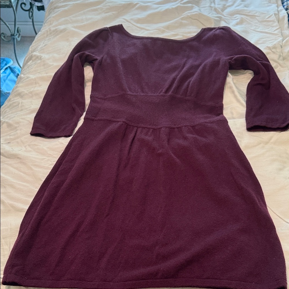 Express Casual Maroon/Wine Woolblend Dress